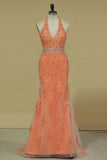 2024 Column V Neck Prom Dresses Tulle With Beading And Applique Open PM5RXTCY