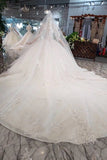 2024 Ball Gown Lace Up Back Cathedral Train Wedding P7T913ZR