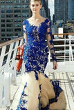 2024 Prom Dresses Mermaid Scoop Long Sleeves Tulle PGS4NLBA