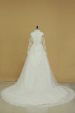 2024 Long Sleeves Wedding Dresses Tulle With Applique A PL3MGDAH