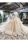 Ball Gown Wedding Dresses Scoop Long Sleeves Top Quality Appliques PM82ZNFH