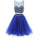 Jewel Neck Illusion Sequins Crystal Shining Two Piece Low Back Royal Blue Tulle Homecoming Dress