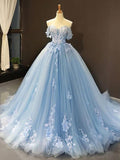 Ball Gown Tulle Off-the-Shoulder Sleeveless Applique Sweep/Brush Train Dresses TPP0001364