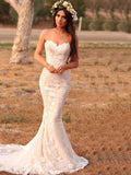 Trumpet/Mermaid Lace Applique Sweetheart Sleeveless Sweep/Brush Train Wedding Dresses TPP0005919