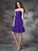 A-line/Princess Sweetheart Ruffles Sleeveless Short Chiffon Bridesmaid Dresses TPP0005552