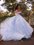 Ball Gown Tulle Applique Off-the-Shoulder Sleeveless Sweep/Brush Train Dresses TPP0001427