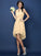 A-Line/Princess Halter Pleats Sleeveless Short Chiffon Bridesmaid Dresses TPP0005144