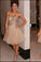 Champagne Short Prom Dresses Homecoming Gowns Tulle Homecoming Dresses