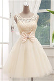 Lace Short Champagne Ball Gown Sleeveless Bowknot Open Back Scoop Homecoming Dresses
